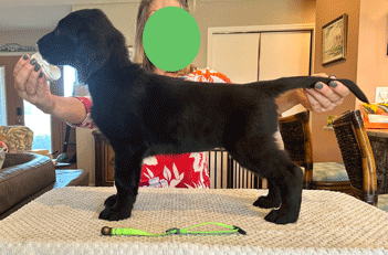 Valhala Drive It Like You Stole It