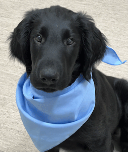 Rainshadow 99 Bottles Of Beer On The Wall